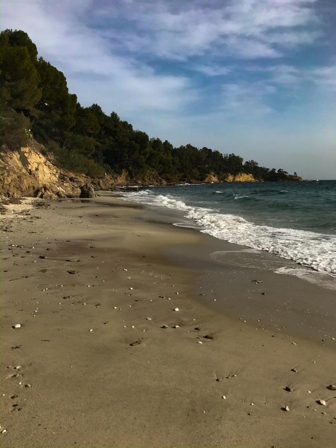 Maison De Vacances Medievale Bormes-Les-Mimosas Village Eksteriør billede
