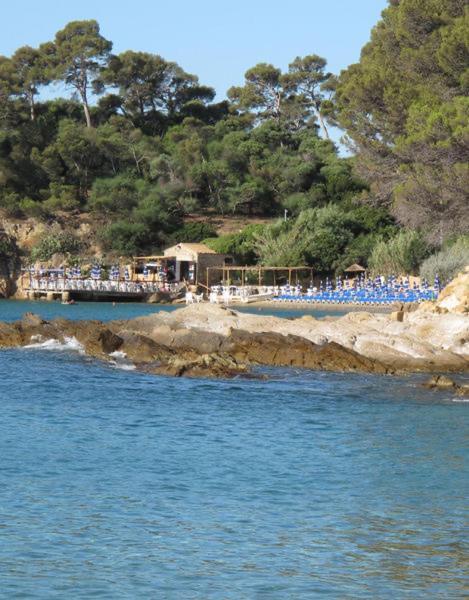 Maison De Vacances Medievale Bormes-Les-Mimosas Village Eksteriør billede