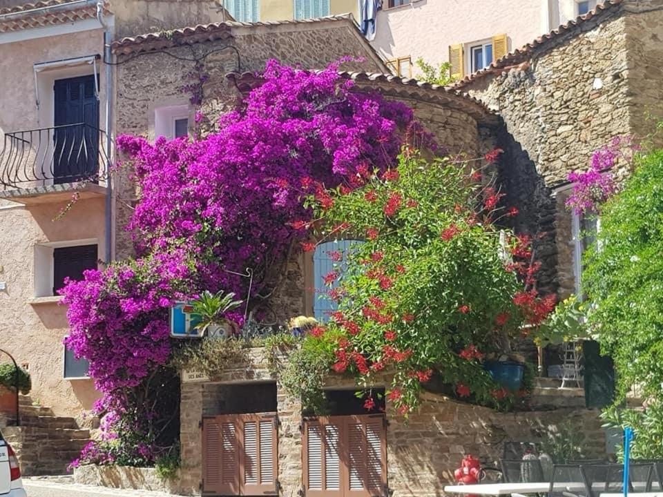 Maison De Vacances Medievale Bormes-Les-Mimosas Village Eksteriør billede