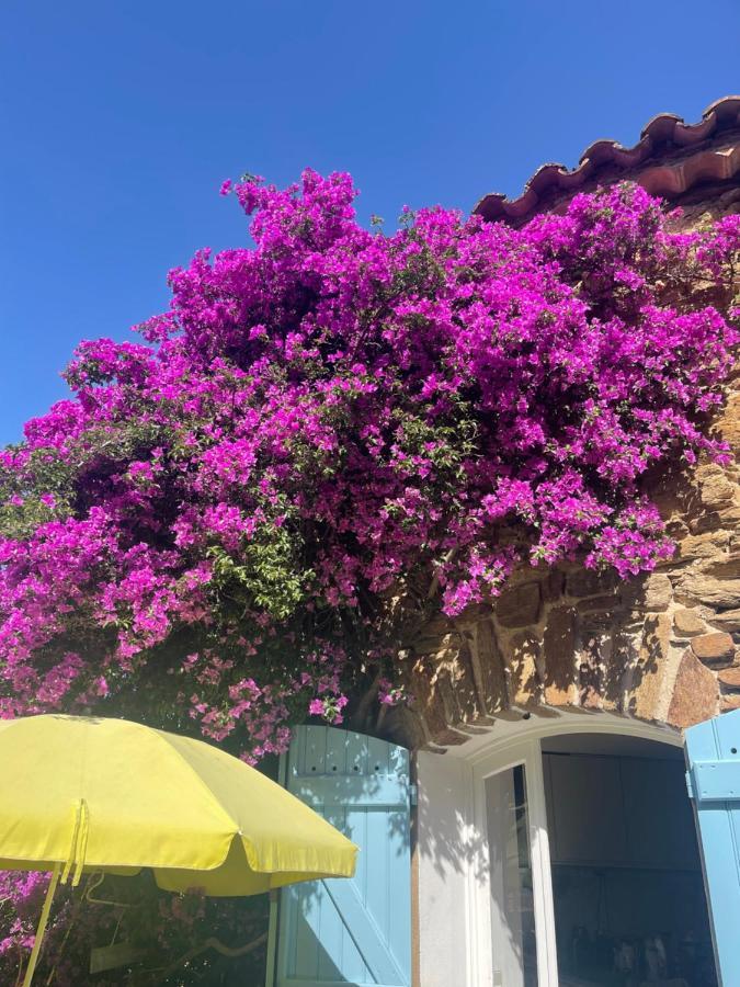 Maison De Vacances Medievale Bormes-Les-Mimosas Village Eksteriør billede