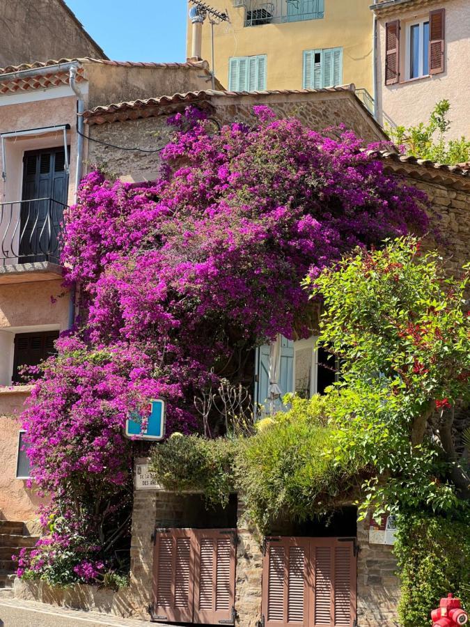 Maison De Vacances Medievale Bormes-Les-Mimosas Village Eksteriør billede