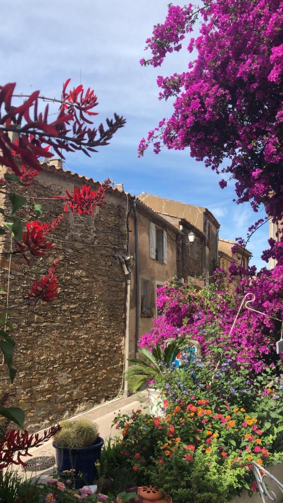 Maison De Vacances Medievale Bormes-Les-Mimosas Village Eksteriør billede