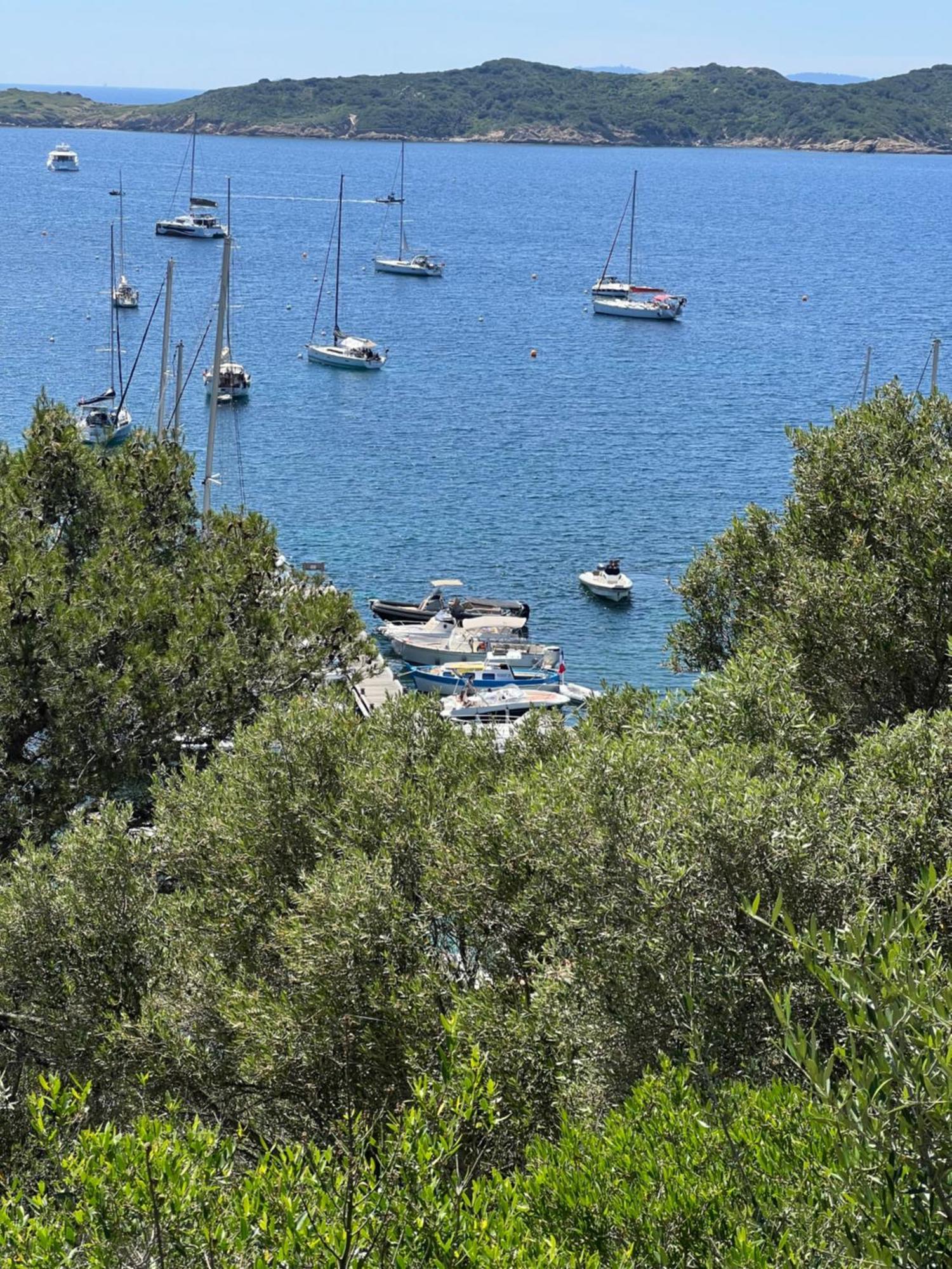Maison De Vacances Medievale Bormes-Les-Mimosas Village Eksteriør billede